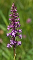 WAH023612